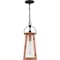 Quoizel Carolina Outdoor Hanging 1 Light Aged Copper CLN1907AC - alternate 5